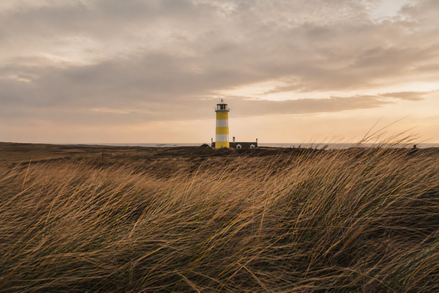 260429_ASSIDU_self-employed professionals - lighthouse