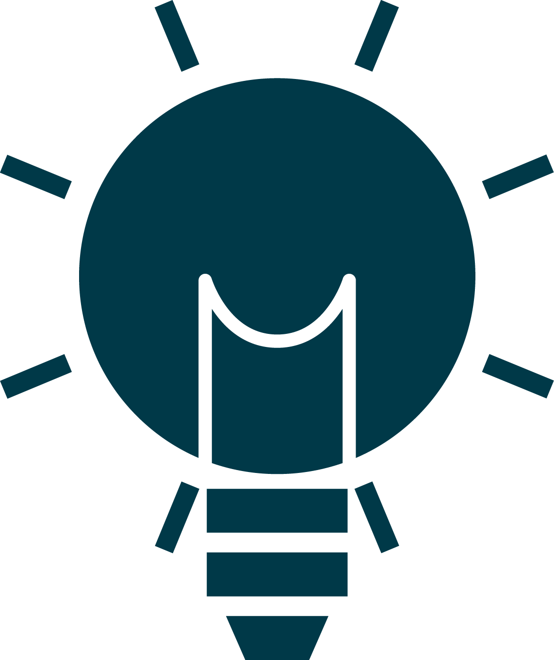 Private Insurance Icon