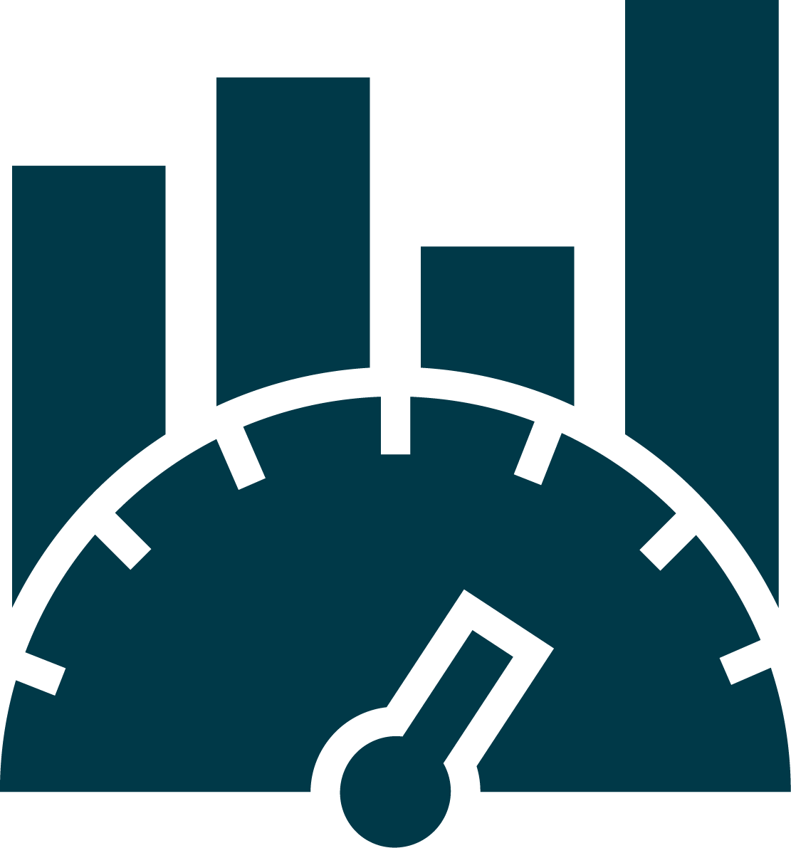 Private Insurance Icon