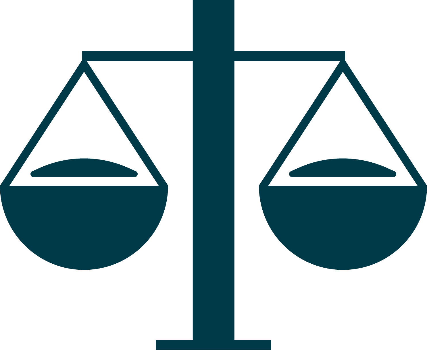 Private Insurance Icon