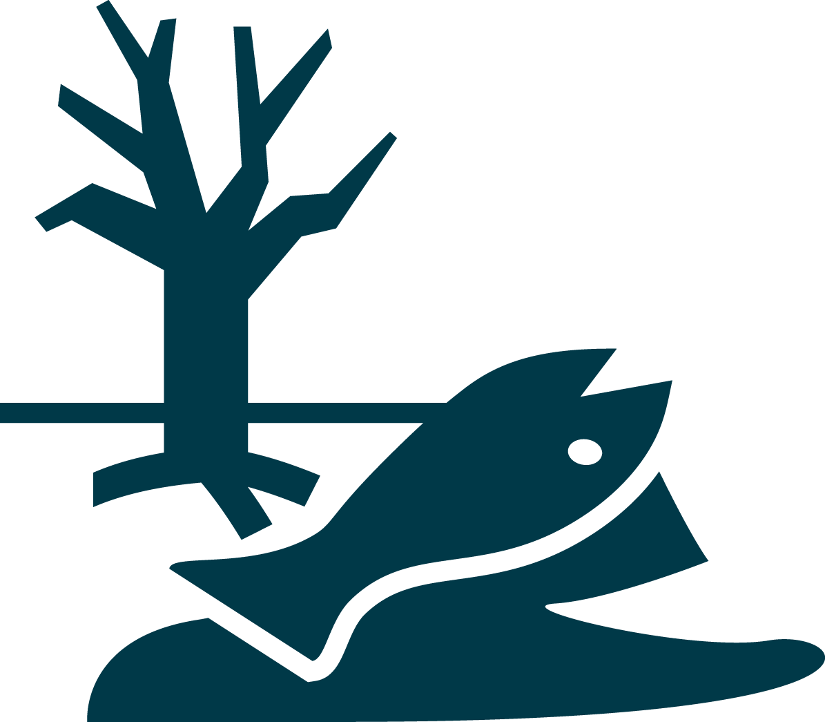 Private Insurance Icon